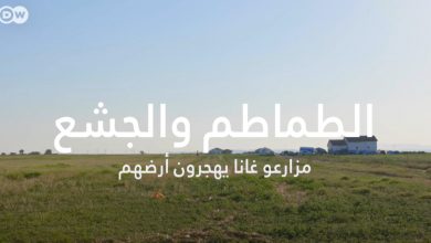 ما علاقة الطماطم بنزوح مزارعو غانا ؟