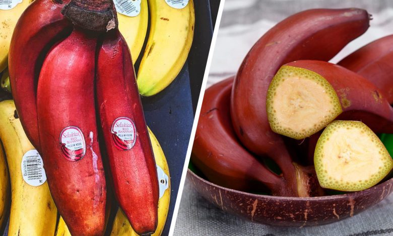 فوائد الموز الأحمر المذهلة