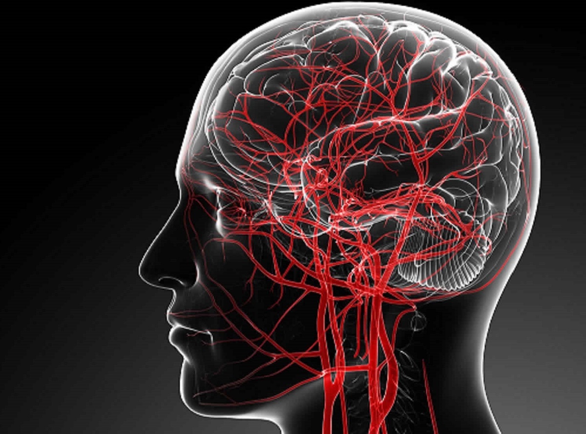 5 طرق تنشيط الدورة الدموية للمخ
