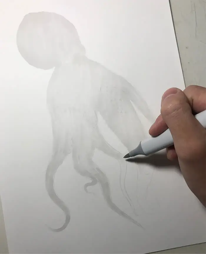 عملية خطوة بخطوة لرسم أخطبوط واقعي